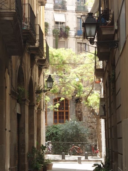 Streets of the Bari Gothic