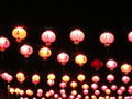 The pink lanterns for Buddha's birthday