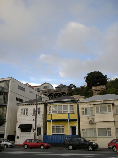 Typcial houses in Wellington