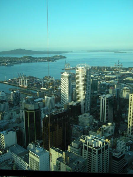 View from the skytower (the line down the middle of the photo is for the bungy jump!)