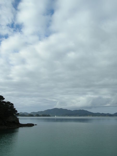 At the Bay of Islands