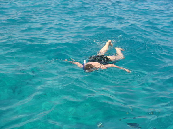 snorkelling in the Red Sea