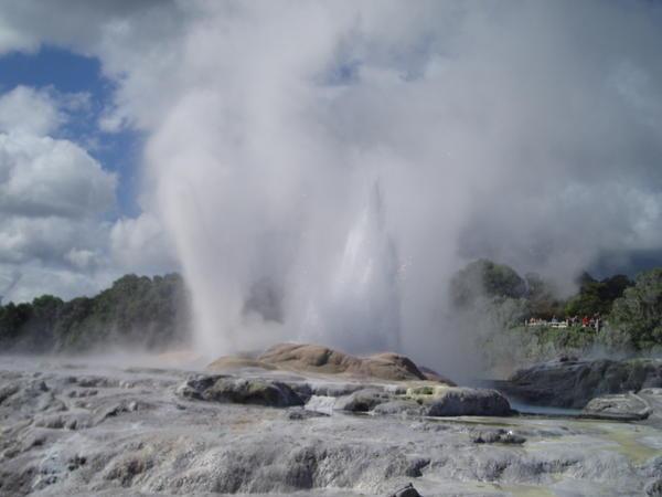 geyser erupting in Rotorua