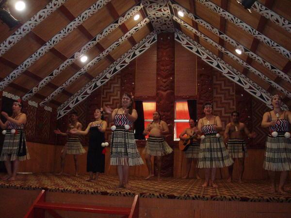 a Maori concert