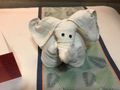 Elephant towel thing
