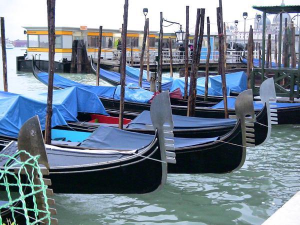 Gondola's Sitting on the Grand Canal