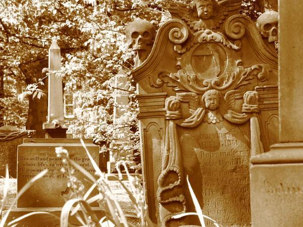 Warriston Cemetery Headstone & Bluebells