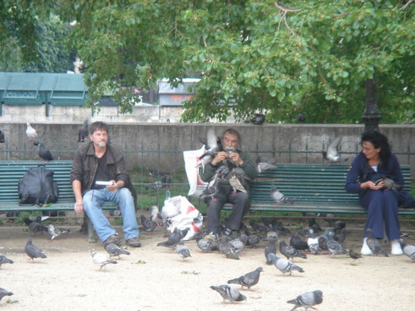 Old mate Birdman chillin outside Notredam