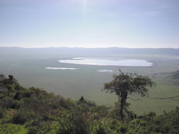 entering the crater of ngorongoro