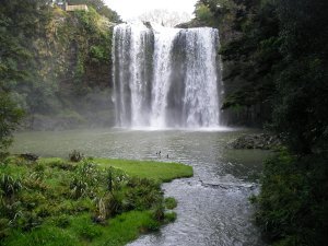 Whangarai Falls 