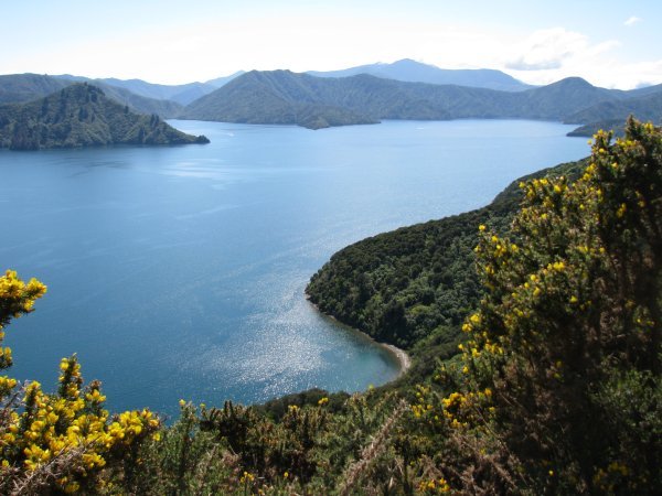 View from the Queen Charlotte Track