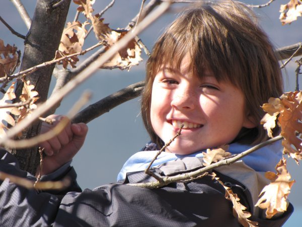 Joshua climbs another tree