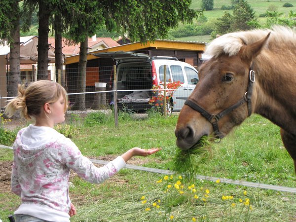 Emily feeding a horse