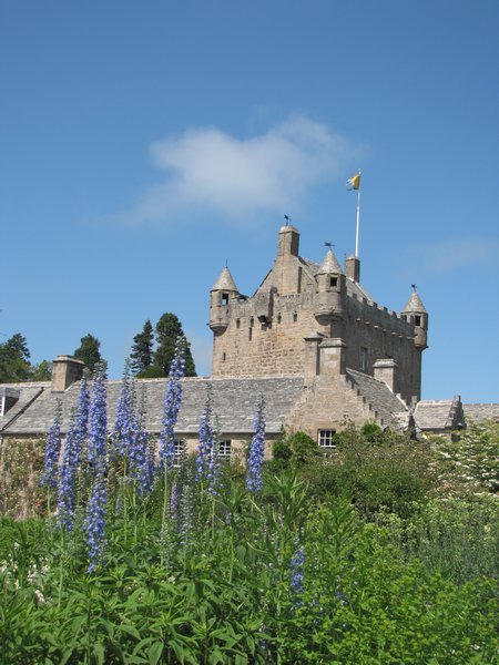 Castle from the gardens