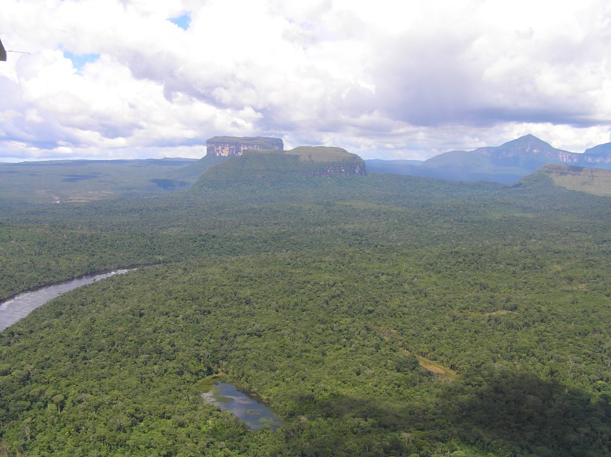 Aerial view of Canaima Park