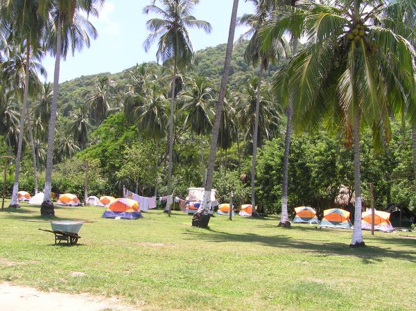The Camping Site