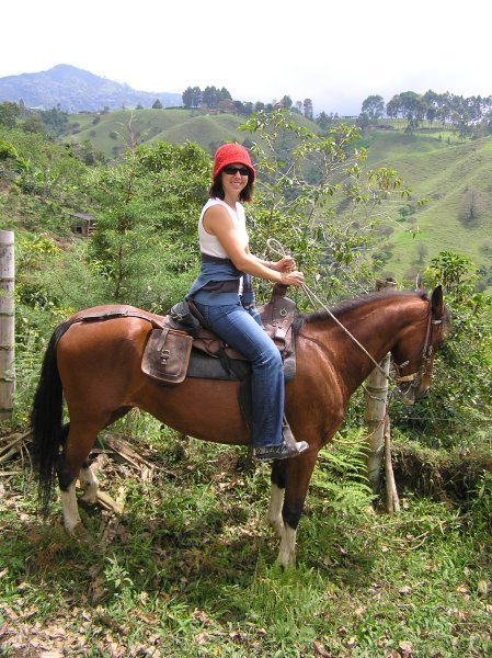 LM on horse