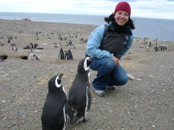 LM and Penguins