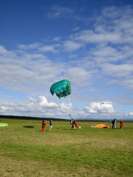 skydiving in taupo!!!!