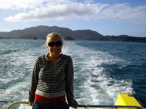 "Dolphin watching" in bay of islands
