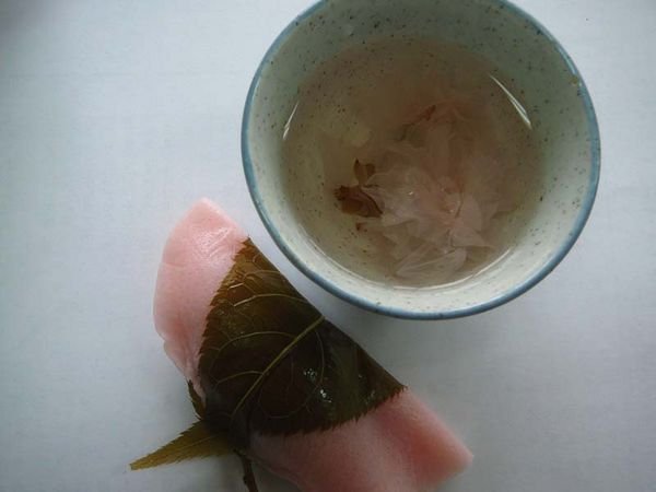 Cherry blossom tea and mochi