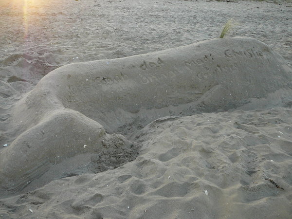Whale in the sand