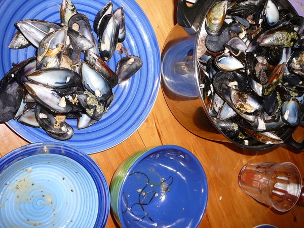 Aftermath of the shellfish dinner
