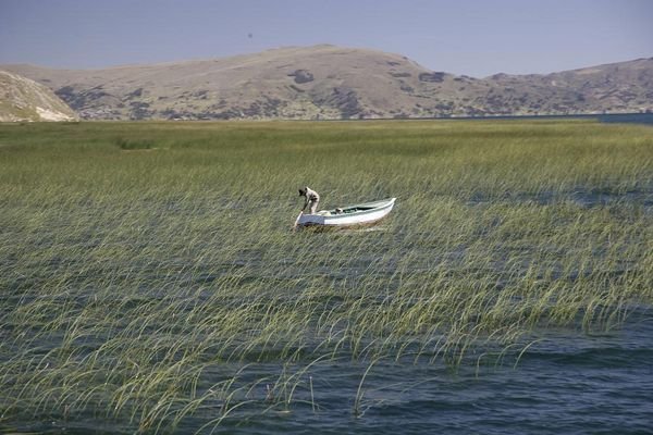 Fisherman in Reeds, Lake Titicaca