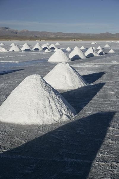 salt harvest