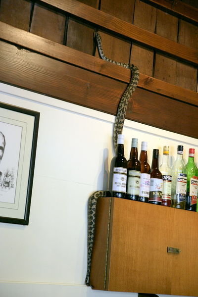 Python barman