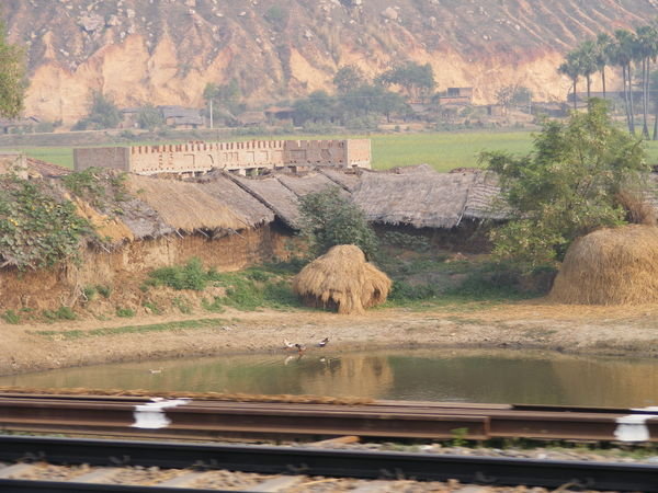 Rural village, Bihar