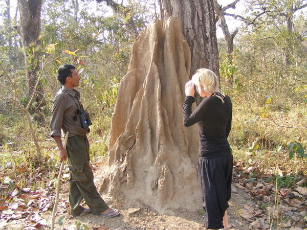 Gopal and Maya with termite mound