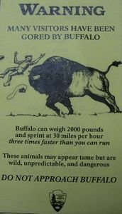 Buffalo warning sign