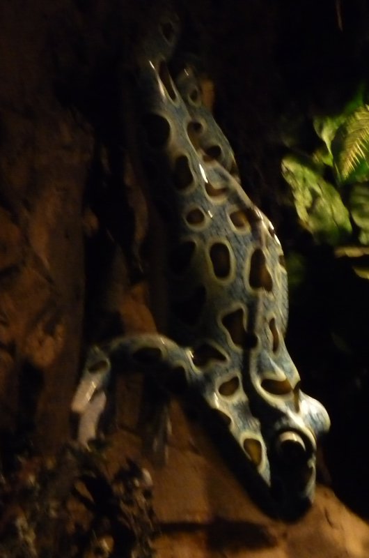 lizard on tree inside Rainforest Cafe