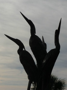 Carving Cranes1