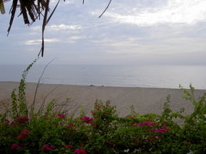 Cabana view