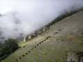 The Vegetable Ridges in Machu Picchu 