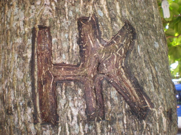 Random Pic: HK Tree Carving