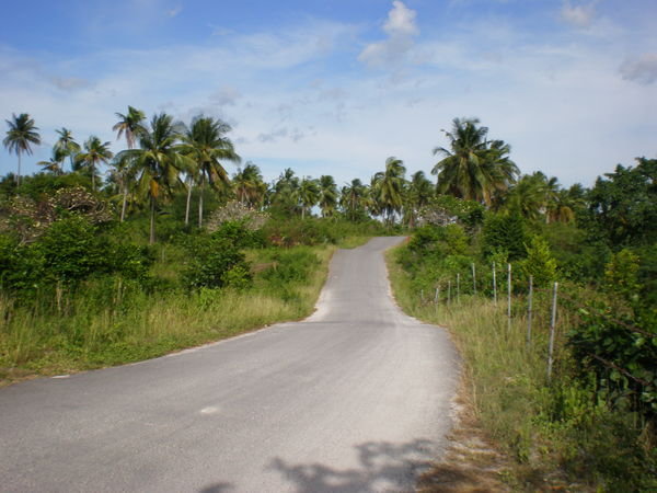 Road to the Beach