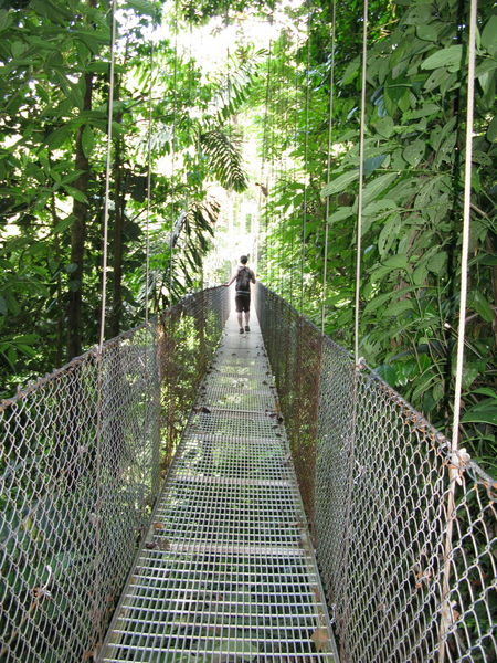 Hanging Bridges at Arenal