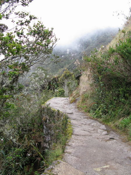 Inca Trail in the Cloud Forest
