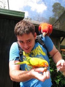 Macaw on Grae's shoulder