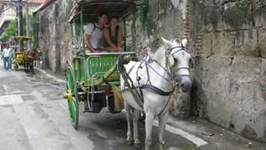 Horse & Cart Tour