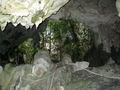 Tarzan Cave
