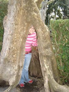 me and a hollow tree