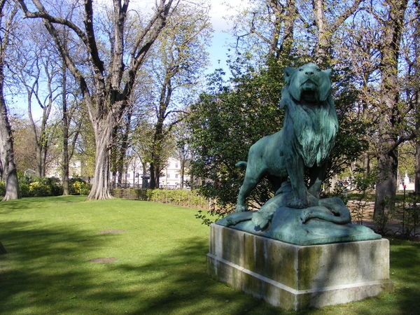 regal lion in gardens