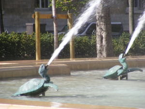 spitting turtles