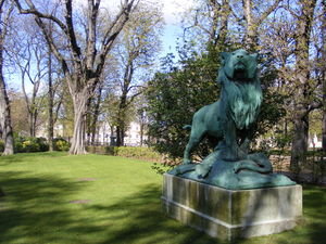 regal lion in gardens
