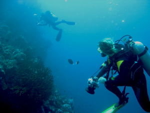 Diving Pulau Weh