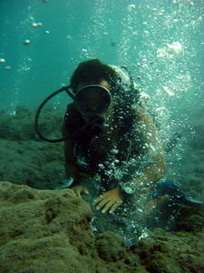 Dive Pulau Weh